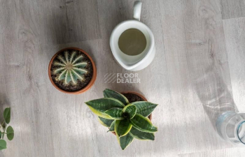 Кварцвиниловые полы Vinilam Click 3.7мм 20468 Дуб Ален фото 1 | FLOORDEALER